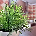 Apartmán Puente Miraflores *